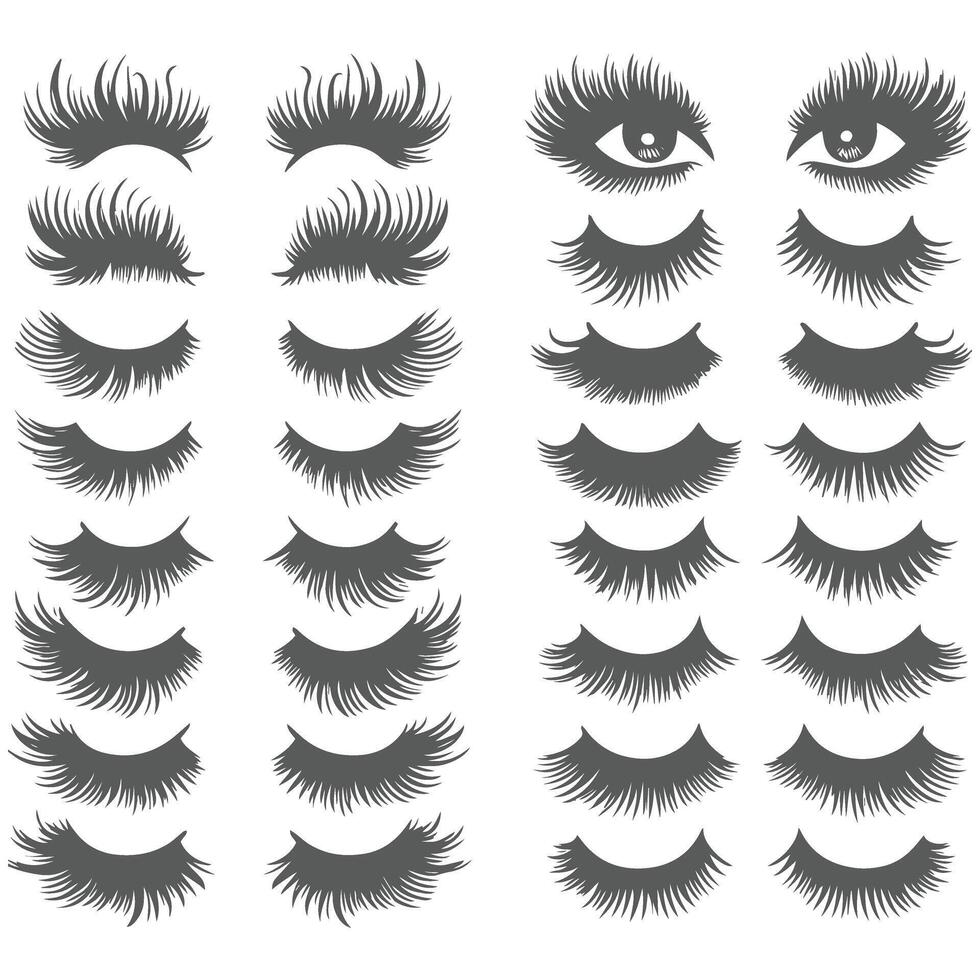 Collection of stylish eyelashes in different designs vector