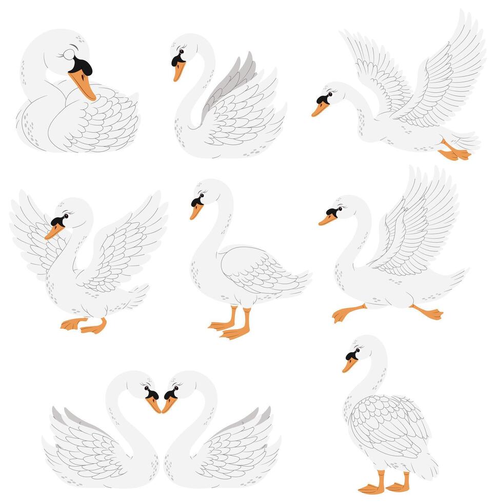 Eight white swans in different poses, perfect for wildlife, nature, or birdthemed designs, adding elegance and grace to projects. vector