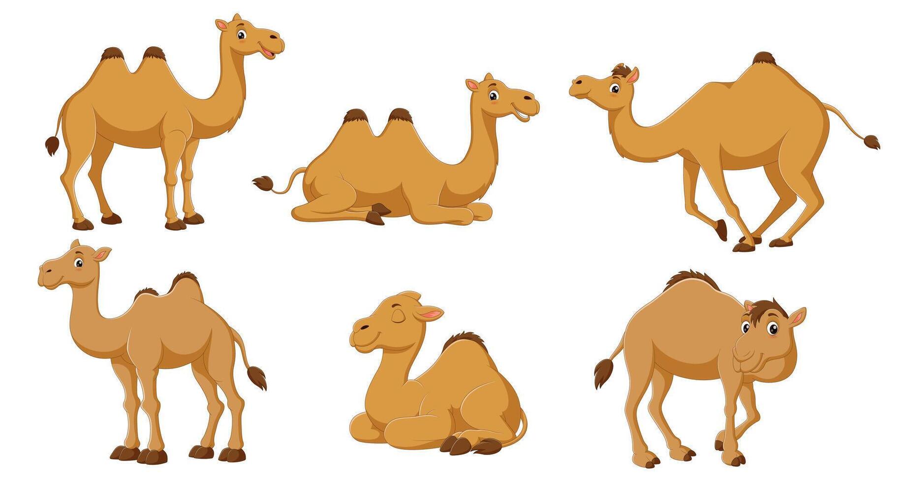 Six cartoon camels perfect for childrens book illustrations, educational materials, desertthemed designs, travel brochures, and cultural presentations. vector