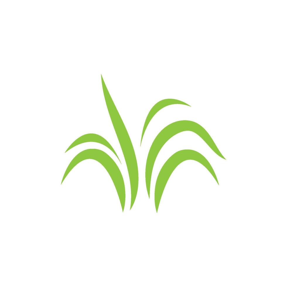 Green grass ilustration vector