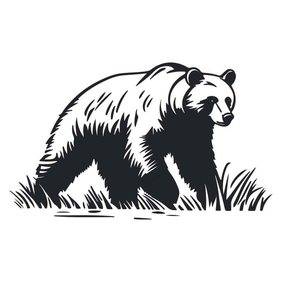 Silhouette of a bear walking on grass vector