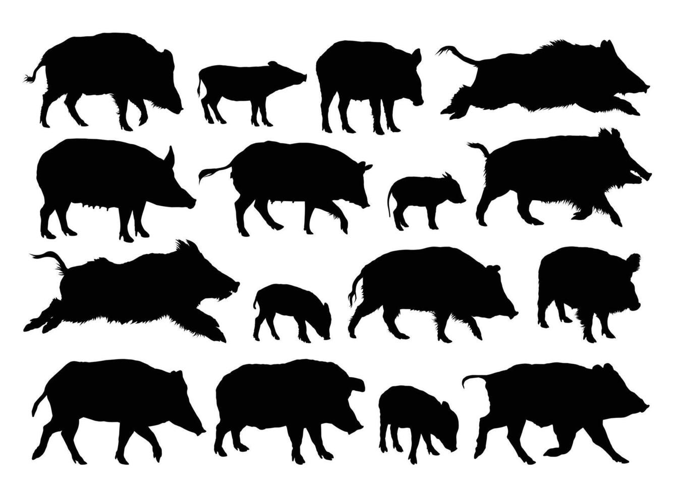 The big set of silhouettes of wild boars. vector