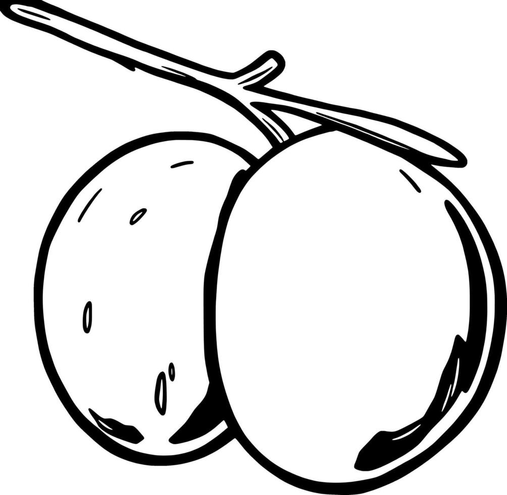 Illustration Of Two Green Olives On A Branch vector