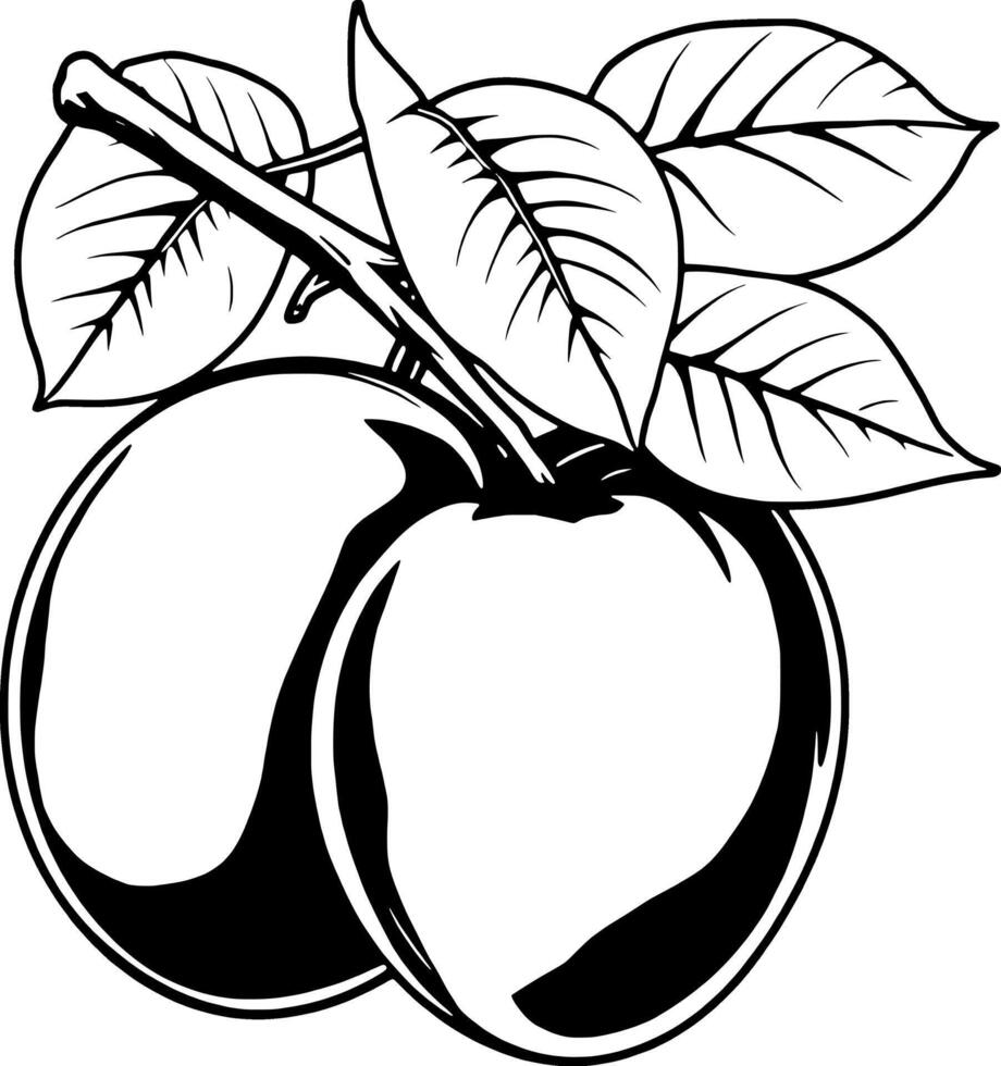 Two Plums on Branch with Leaves A Simple Line Drawing vector