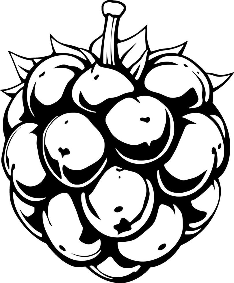 A Bold Black And White Illustration Of A Single Cloudberry vector
