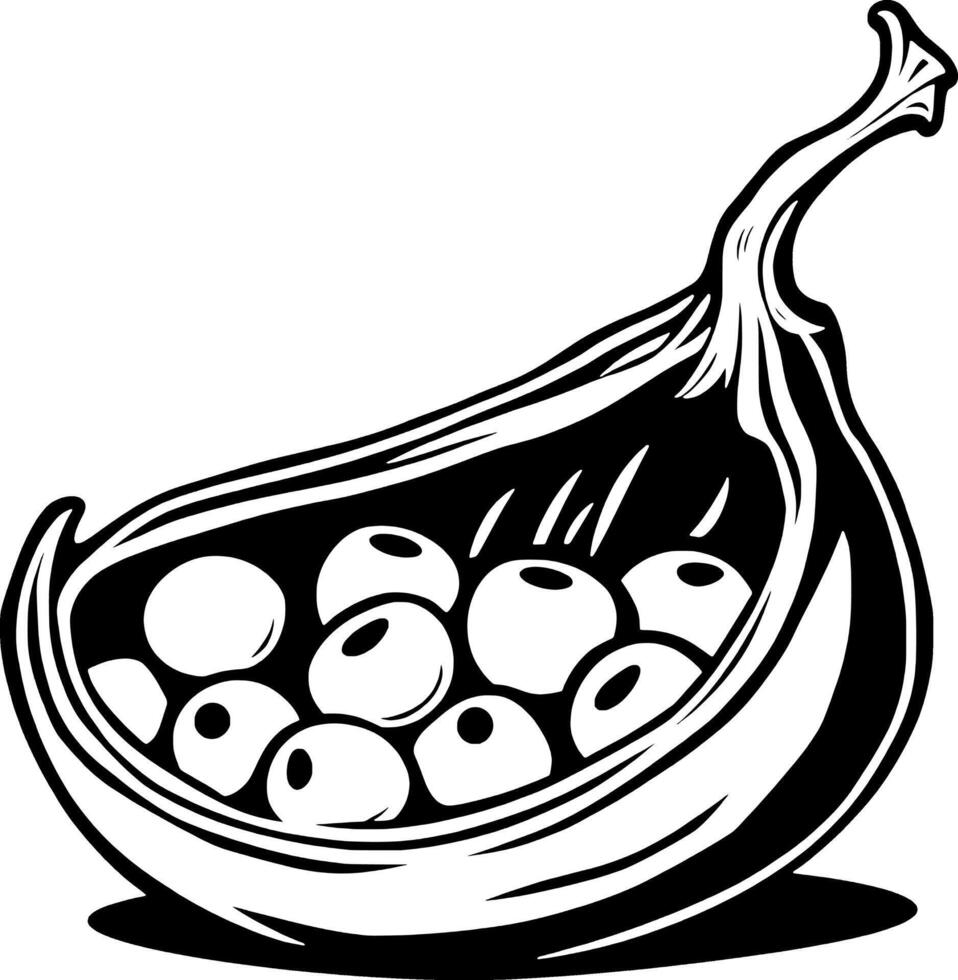 Black And White Illustration Of A Seed Pod Filled With Berries vector