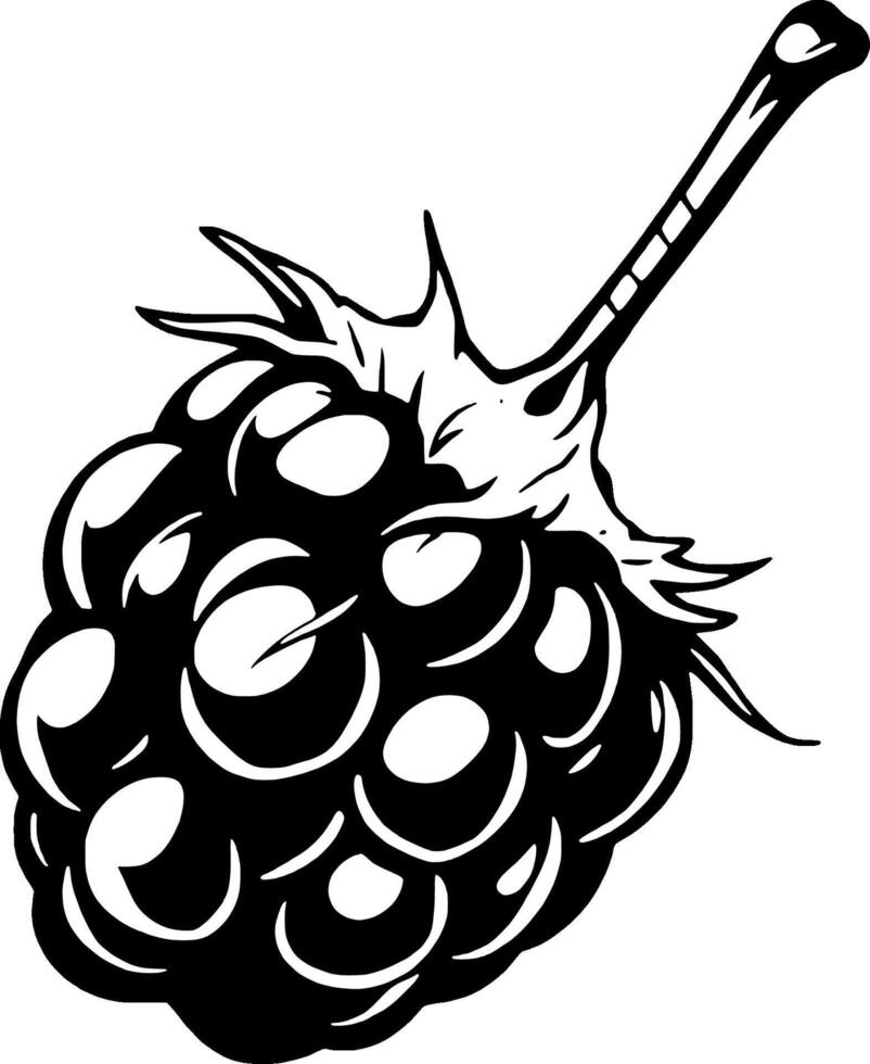 Single Black And White Illustration Of A Ripe Blackberry vector