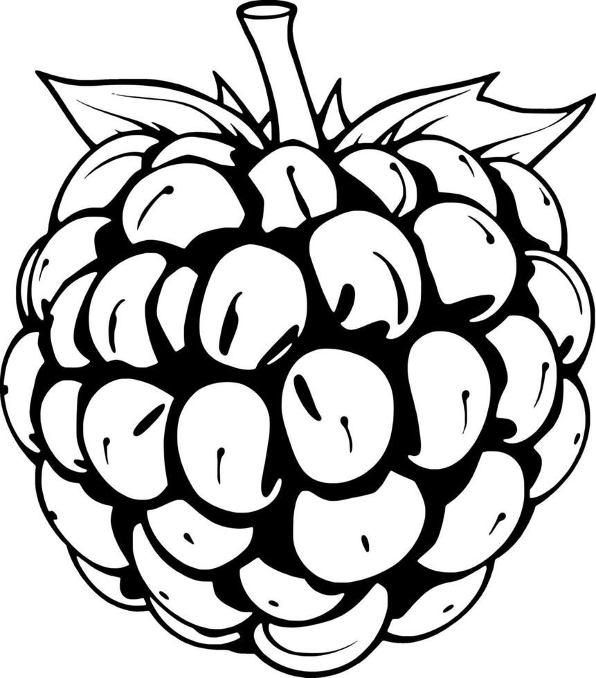 Detailed Line Drawing Of A Single Ripe Blackberry Fruit vector