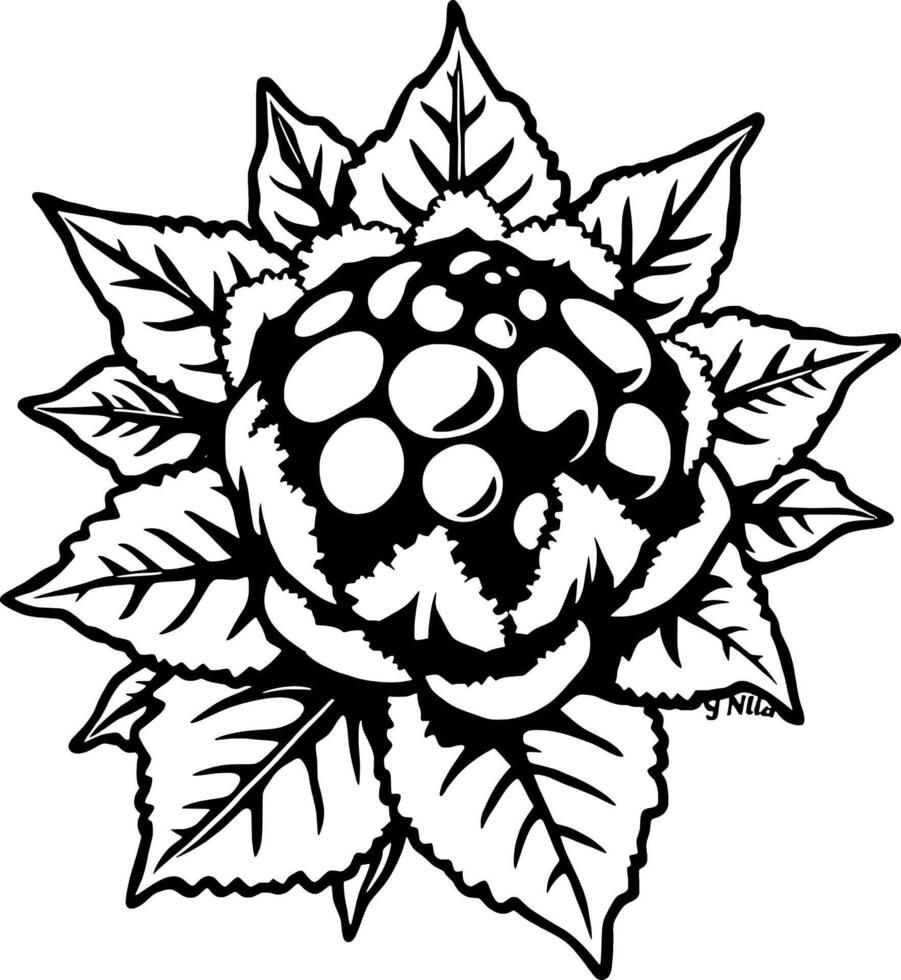 Stylized Floral Design A Pink-hued Blossom with Bold Black Outlines and Detailed Foliage vector