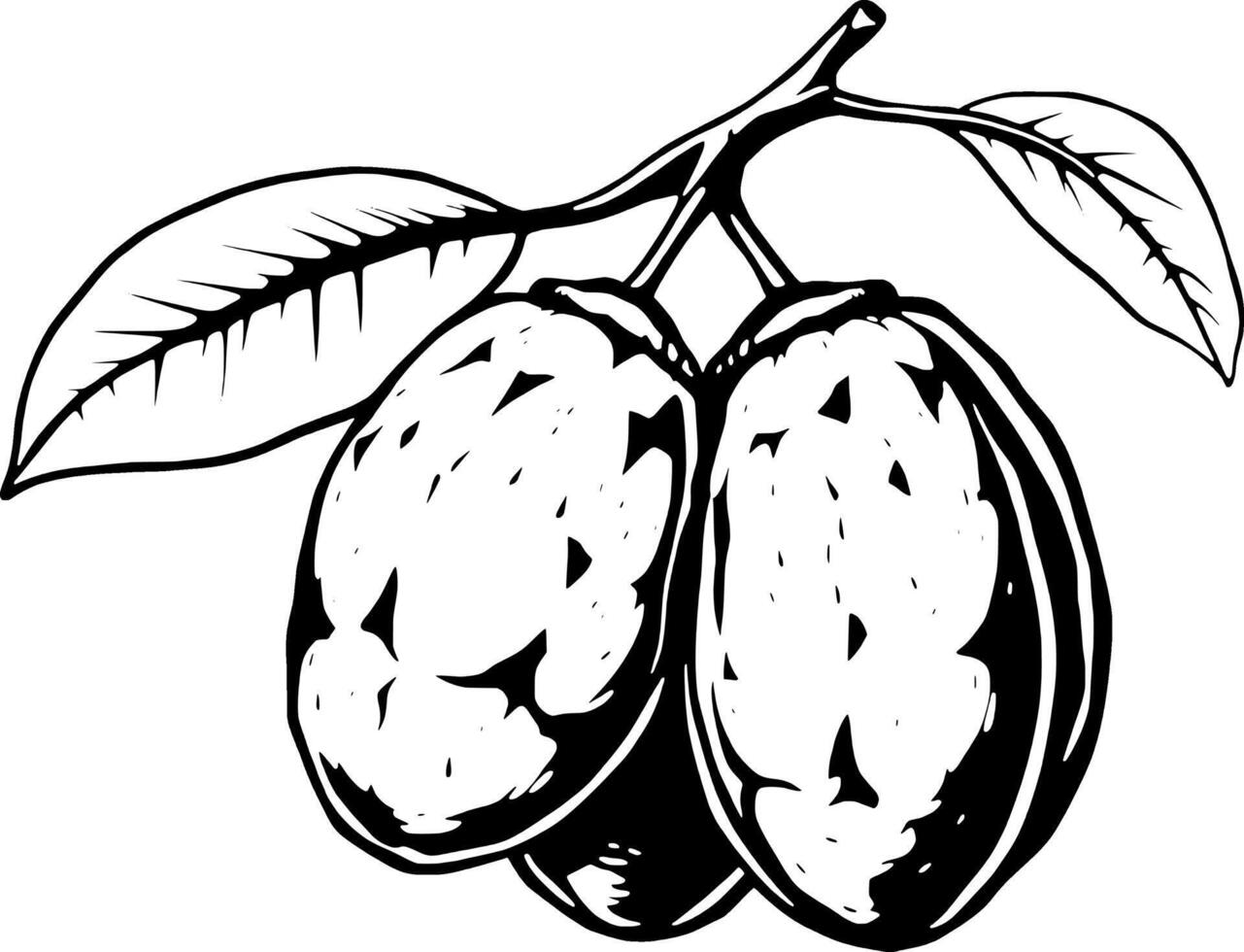 Hand-Drawn Illustration Of Two Plums On A Branch With Leaves vector