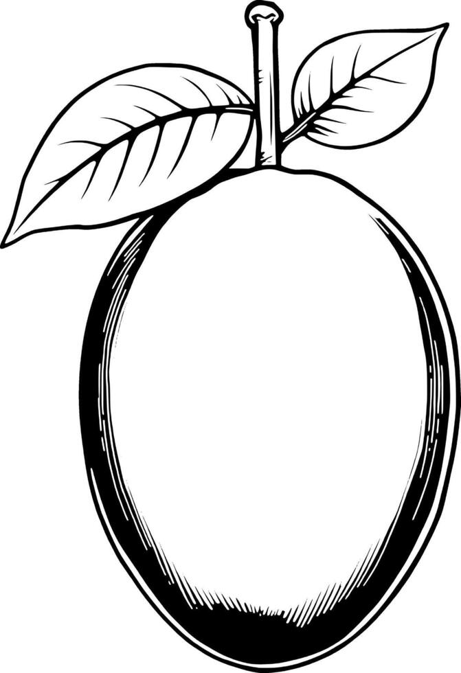 Detailed Line Drawing Of A Single Oval-Shaped Fruit With Leaves vector
