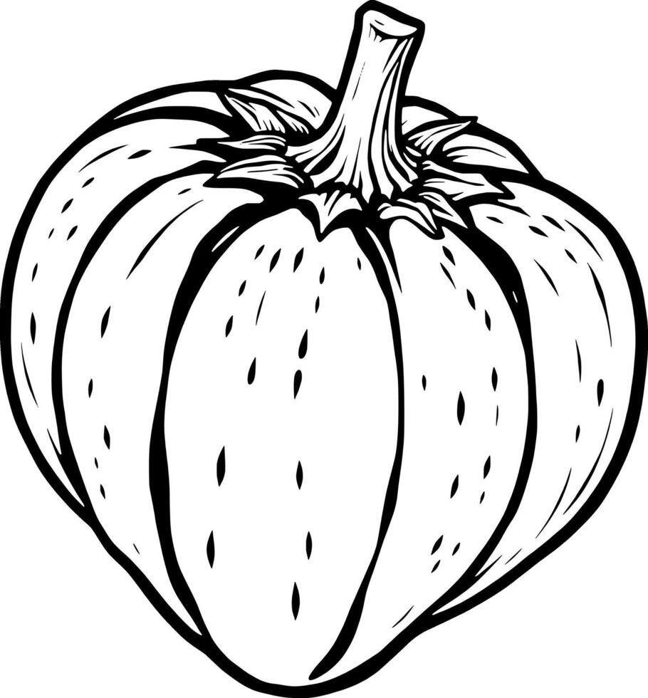 Of A Single Round Pumpkin vector
