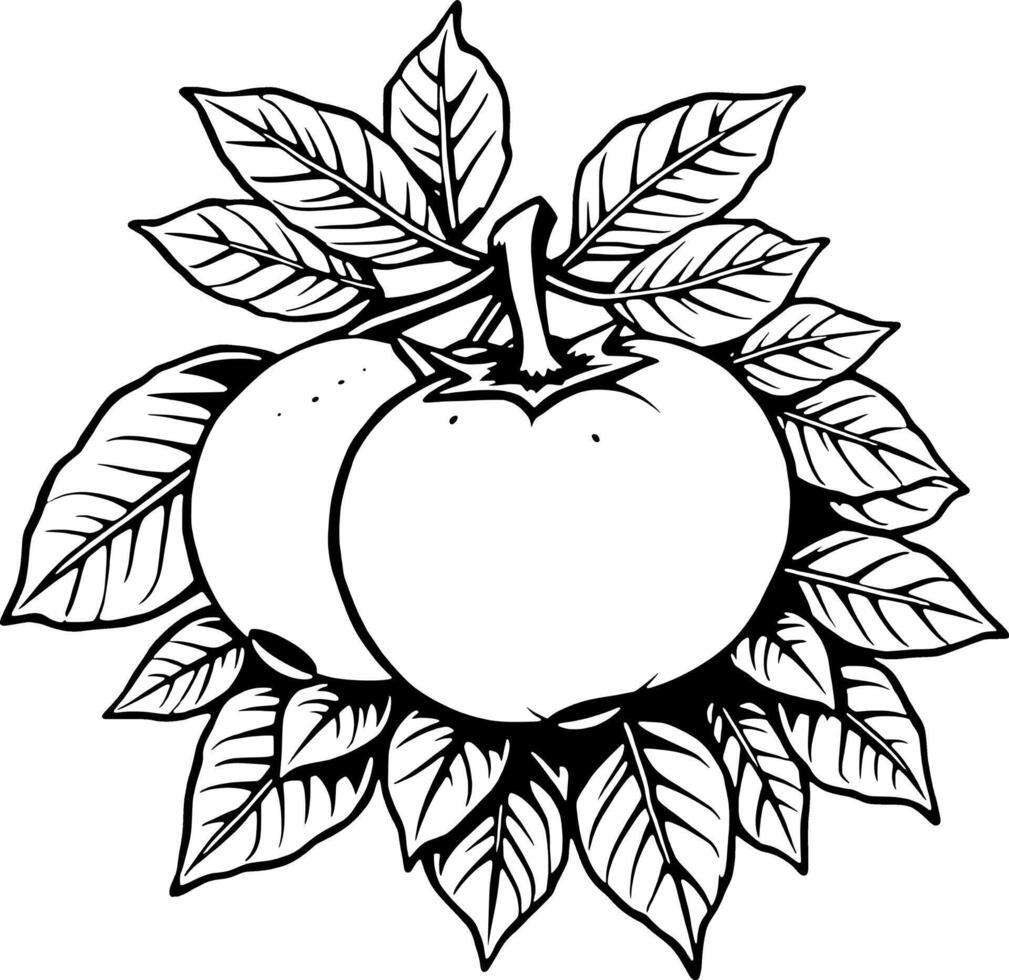 Two Ripe Tomatoes on the Vine with Lush Green Leaves vector