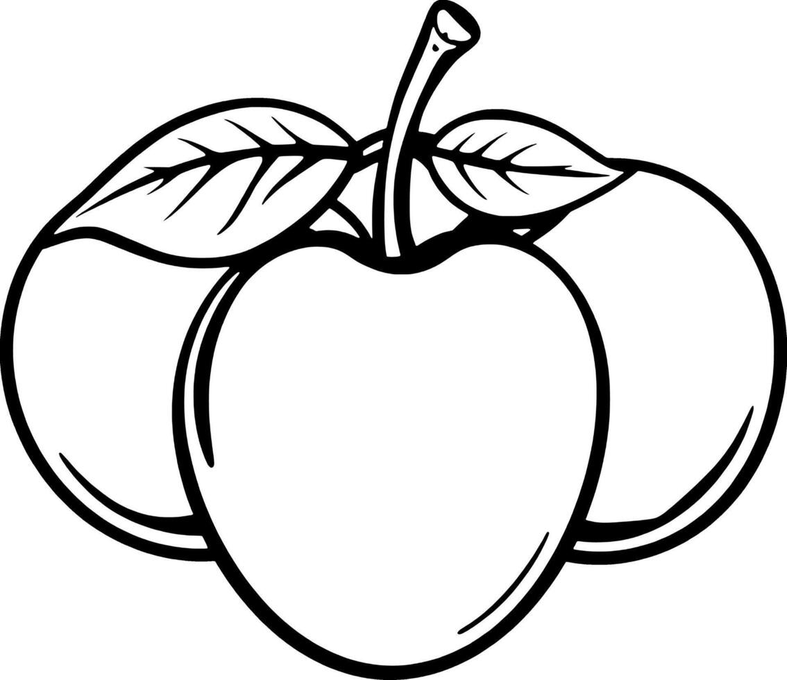 Line Art Illustration Of Three Plums With Leaves vector