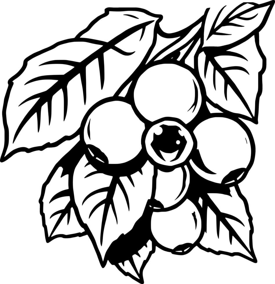 Cluster Of Coffee Beans On Branch With Lush Leaves vector