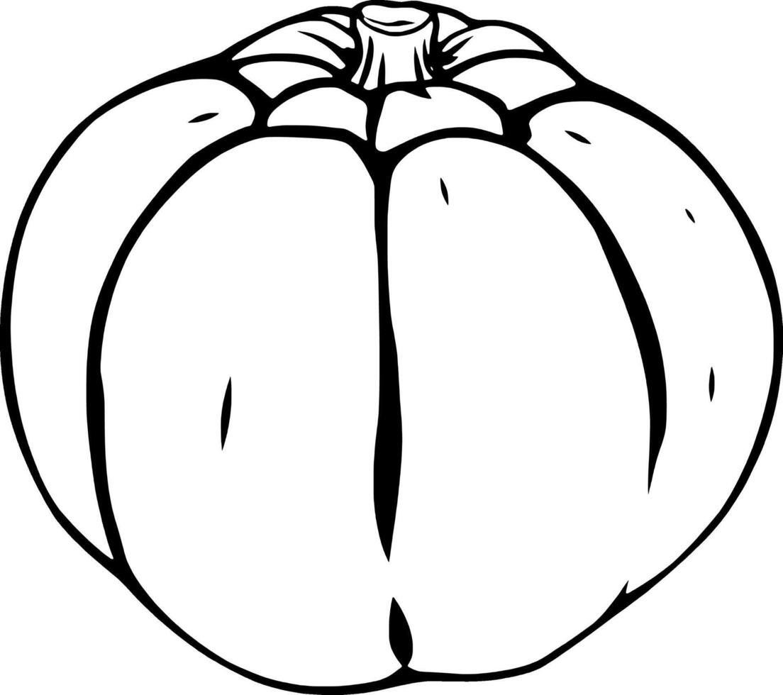 Line Drawing Of A Single Round Pumpkin vector