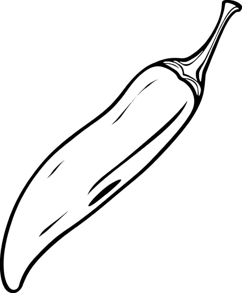 Line Art Drawing Of A Single Spicy Chili Pepper vector