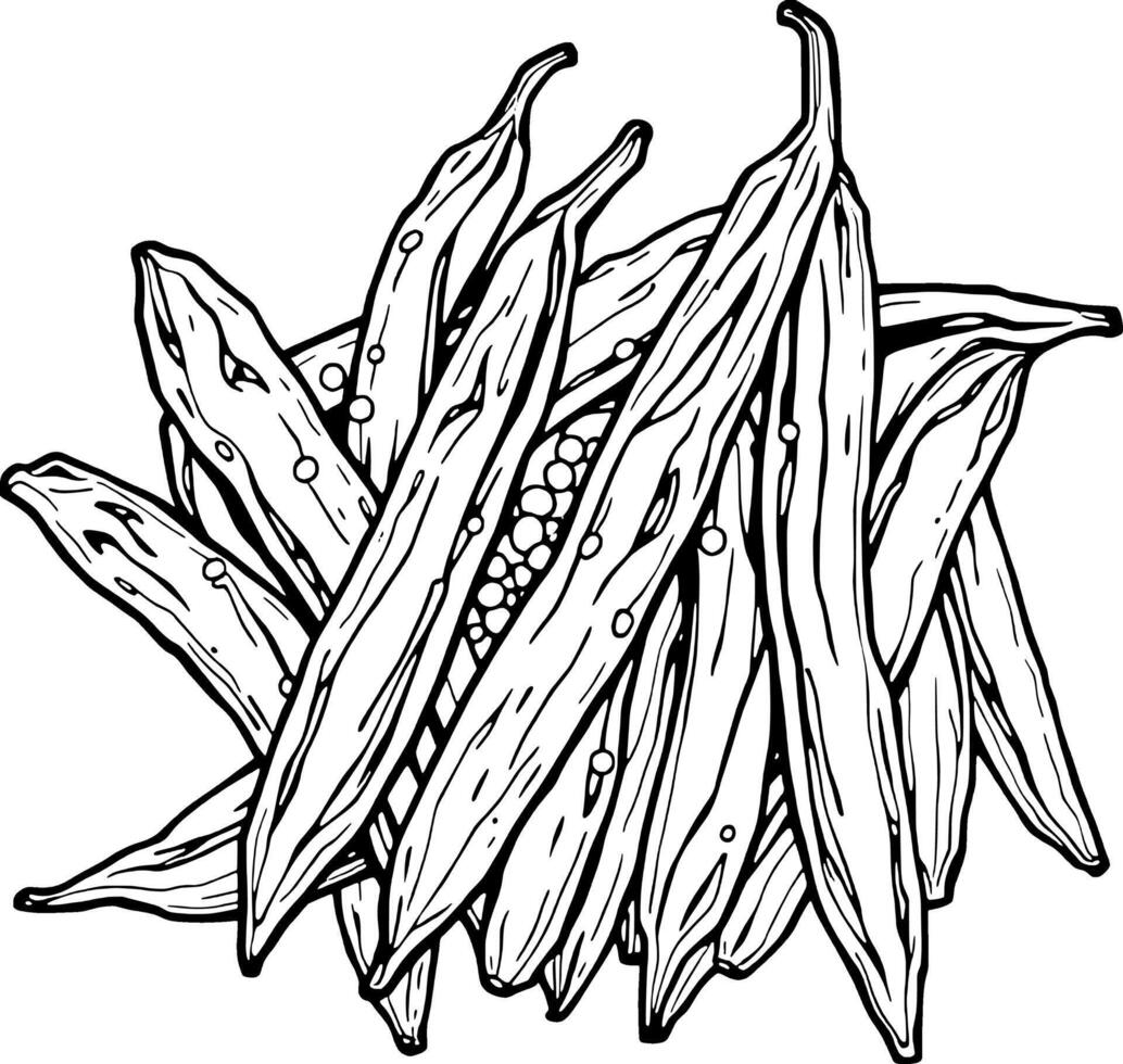 Detailed Line Drawing Of A Pile Of Fresh Okra Pods vector