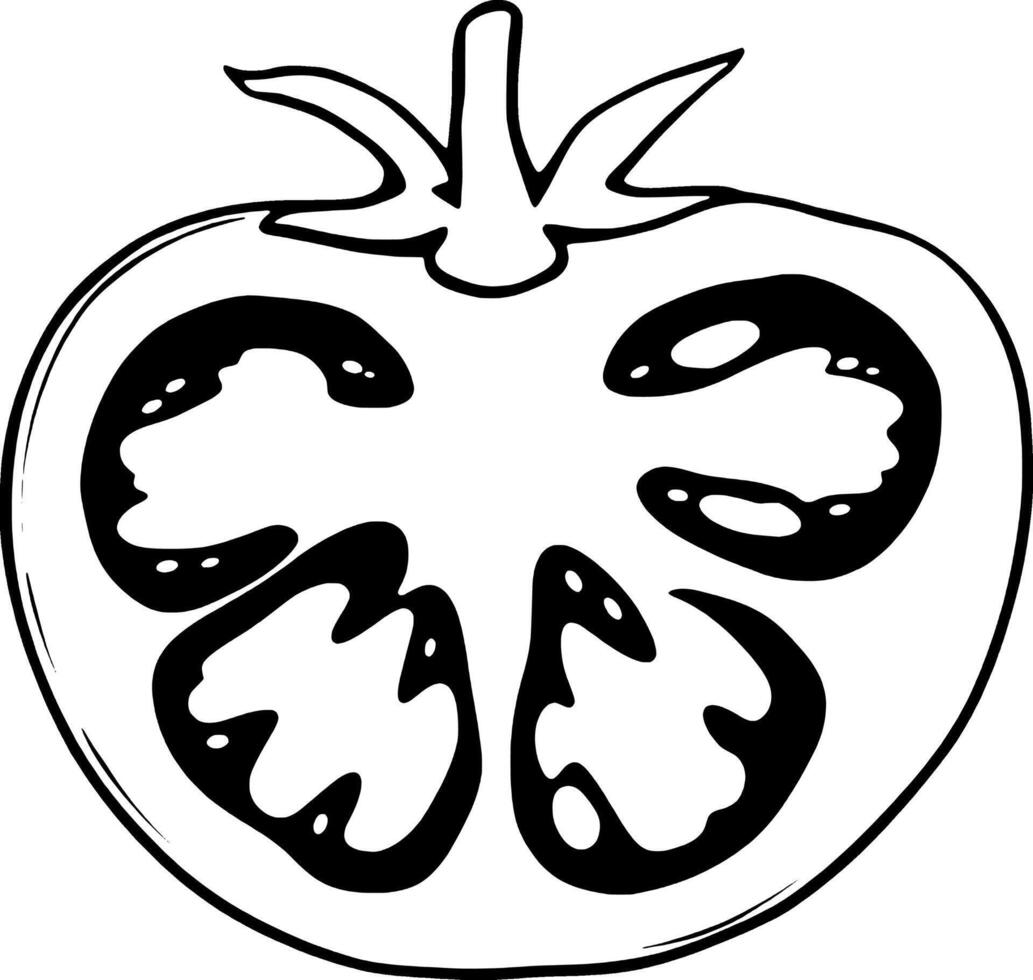 Hand-Drawn Illustration Of A Halved Tomato Showing Detailed Seed Compartments And Stem vector