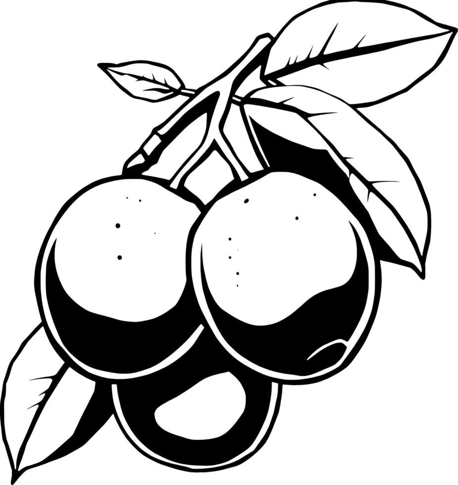 Cluster Of Ripe Plums On Branch With Lush Green Leaves vector