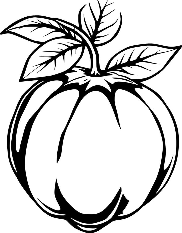 A Detailed Illustration Of A Single Green Guava With Leaves vector