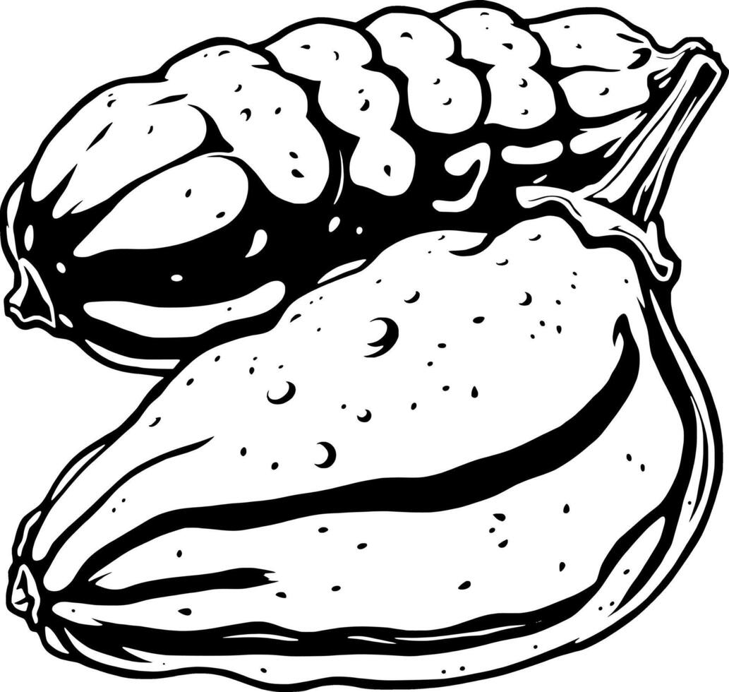 A Detailed Illustration Of Two Mature Pumpkins One With A Knobbed Surface And The Other Smooth Disp vector