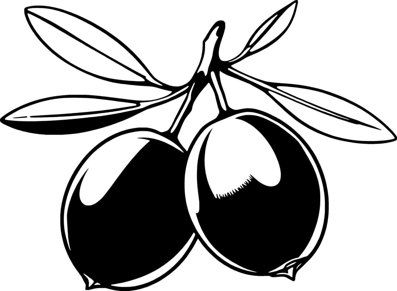 Two Black Olives on Branch with Leaves Simple Line Art Illustration vector