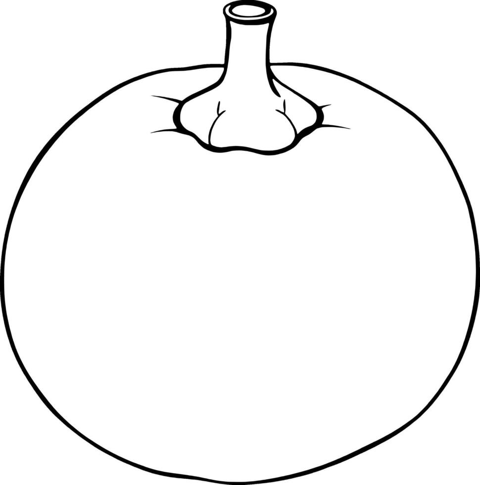 Illustration Of A Single Round Yellow Fruit With A Stem vector