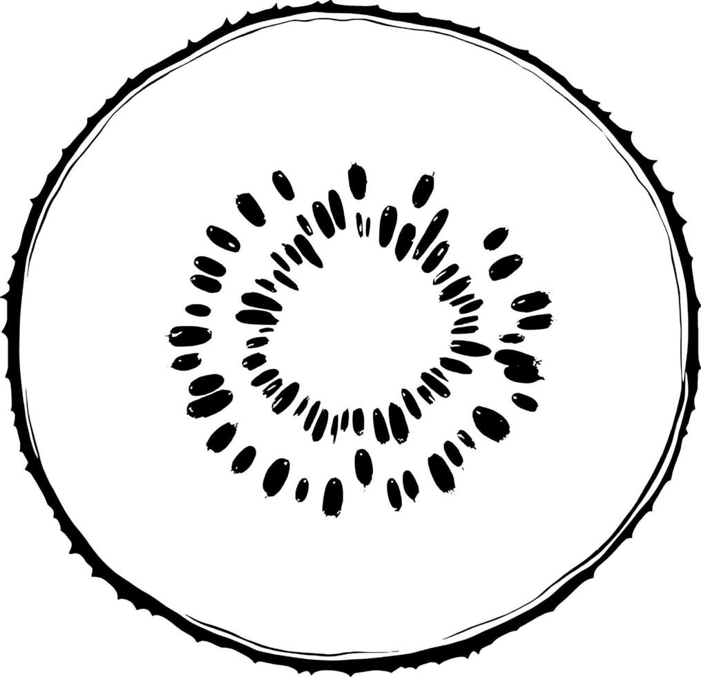 Artistic Cross-Section Of A Ripe Kiwi Fruit Detailed Illustration vector