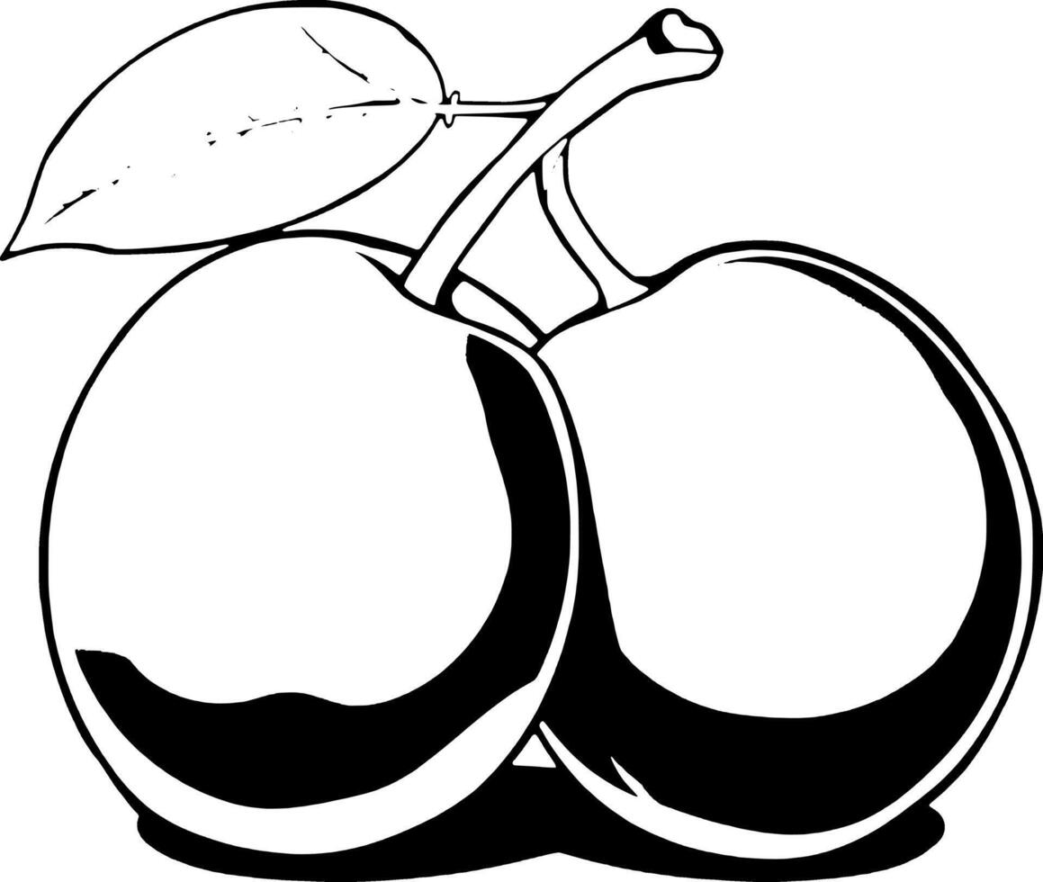 Glossy Black And White Illustration Of Two Plums With A Leaf vector