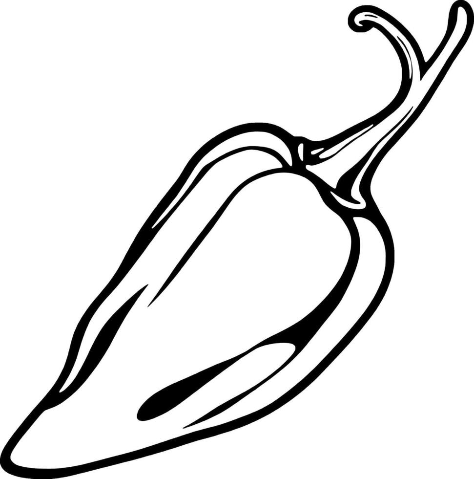 A Detailed Line Drawing Of A Single Jalapeno Pepper vector