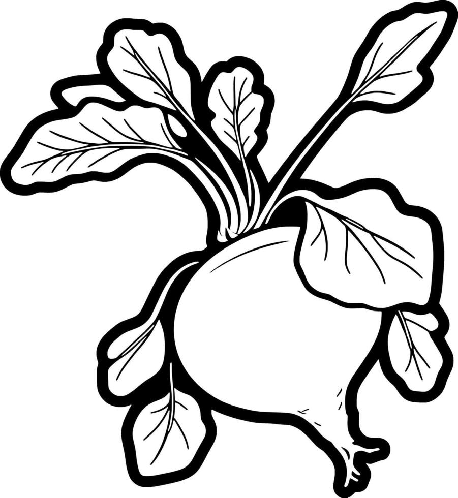 Fresh White Turnip With Vibrant Green Leaves Illustration vector