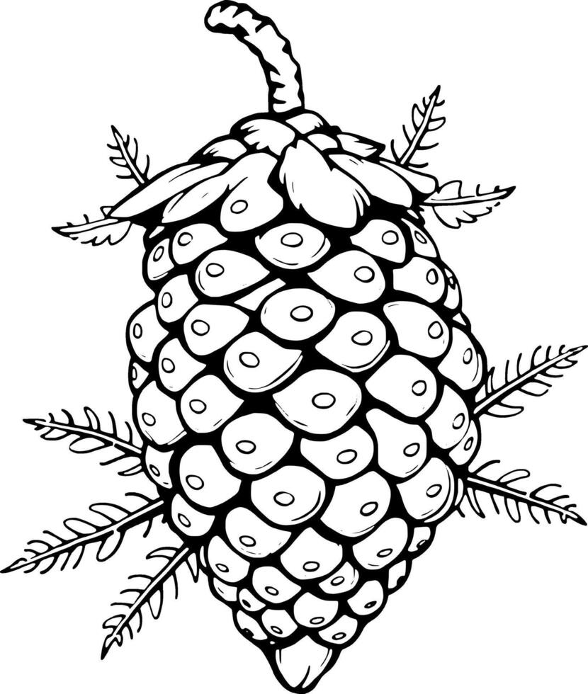 Detailed Line Art Illustration Of A Single Pine Cone With Delicate Foliage vector