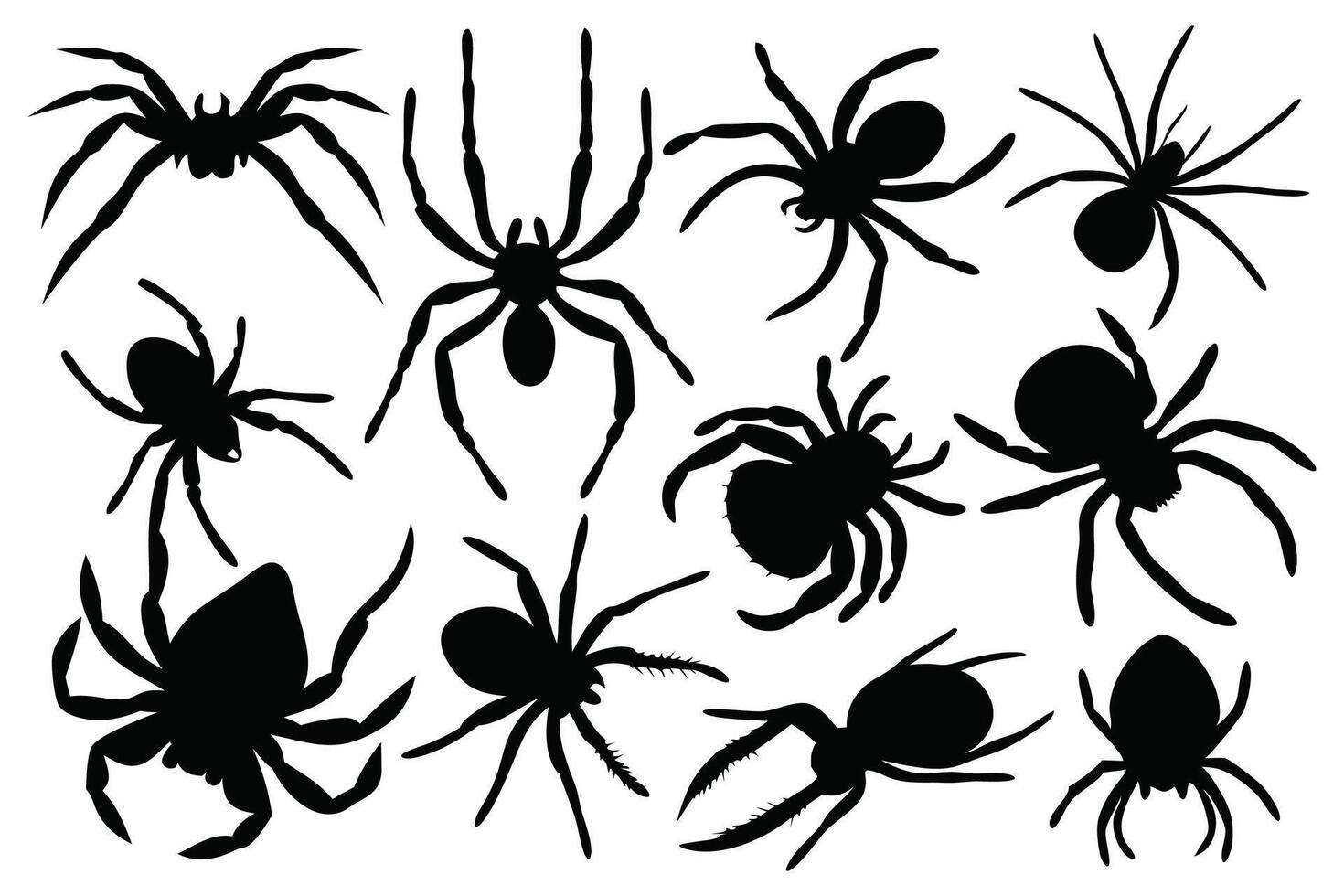 Spider silhouettes set isolated flat illustration on white background. vector