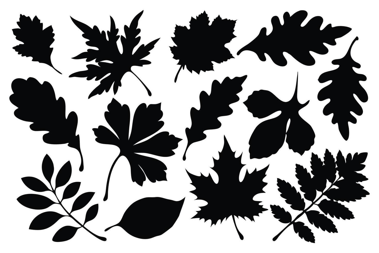 leaves silhouettes set isolated flat illustration on white background vector