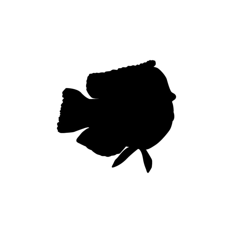 Silhouette The Humphead wrasse, Cheilinus undulatus, also known as the Maori wrasse, Napoleon wrasse, Napoleon fish. vector