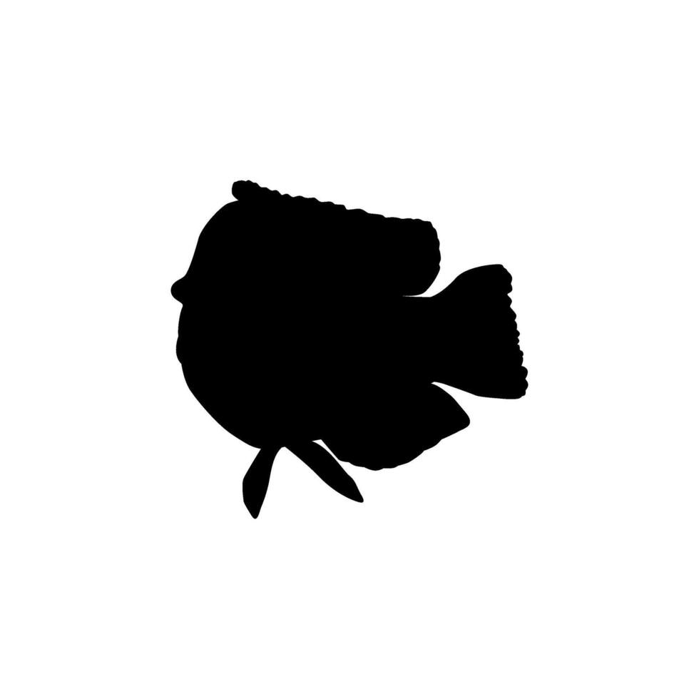 Humphead wrasse Silhouette, Cheilinus undulatus, also known as the Maori wrasse, Napoleon wrasse, Napoleon fish, can use for Logo Gram, Pictogram, ect. Flat and Editable vector