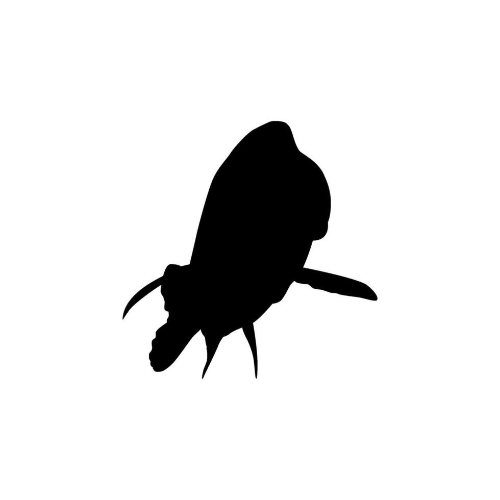 Humphead wrasse Silhouette, Cheilinus undulatus, also known as the Maori wrasse, Napoleon wrasse, Napoleon fish, can use for Logo Gram, Pictogram, ect. Flat Editable vector