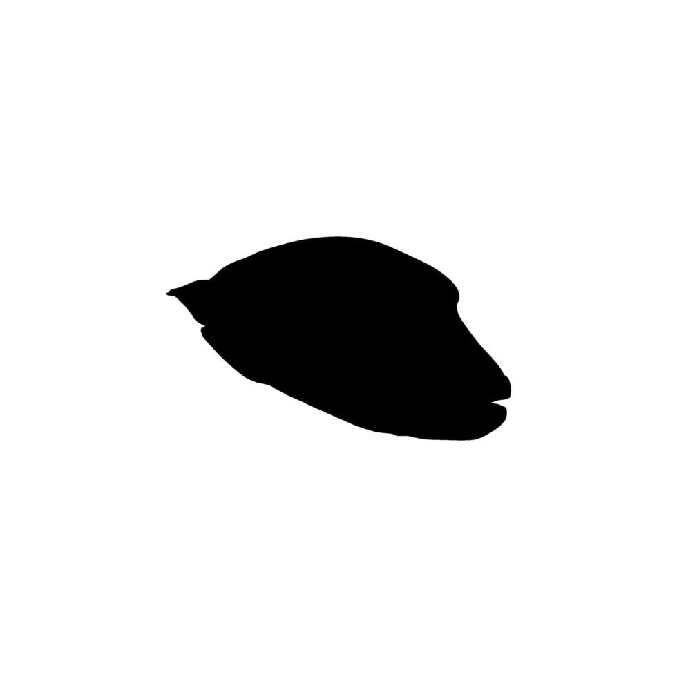 The Humphead wrasse Silhouette, Cheilinus undulatus, also known as the Maori wrasse, Napoleon wrasse, Napoleon fish. can use for Logo Gram, Animal Illustration, Pictogram, ect. Flat and Editable vector