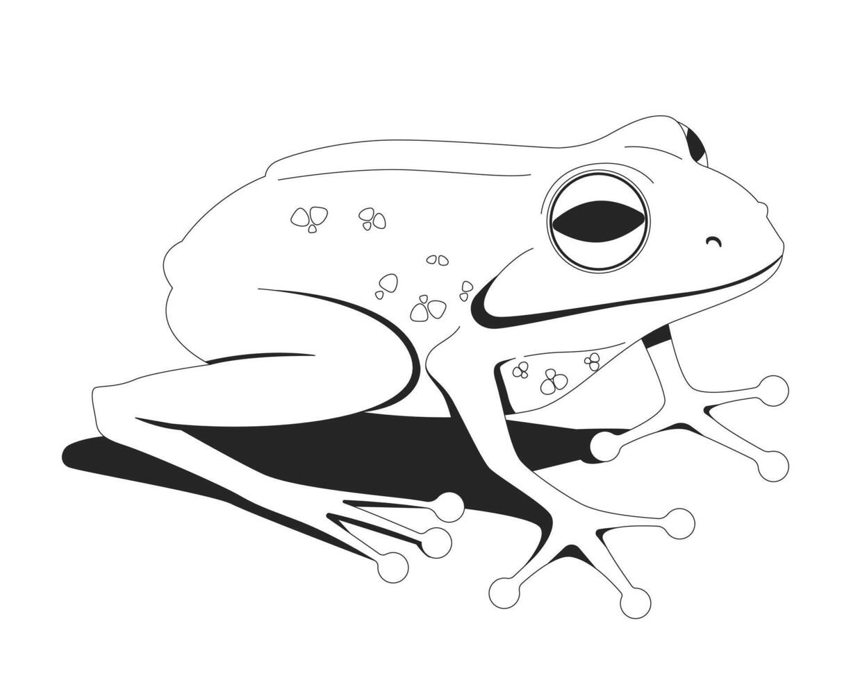 Tree frog lo-fi 2D line character. Cute amphibian. Tropical creature. Jungle wildlife. Rainforest animal. Treefrog toad isolated ink outline animal. Monochromatic spot illustration vector