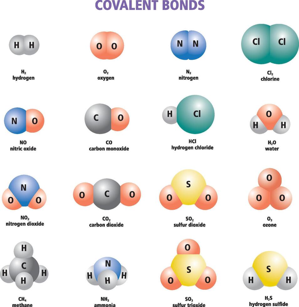 a set of Covalent Bonds Examples and Compounds illustration vector