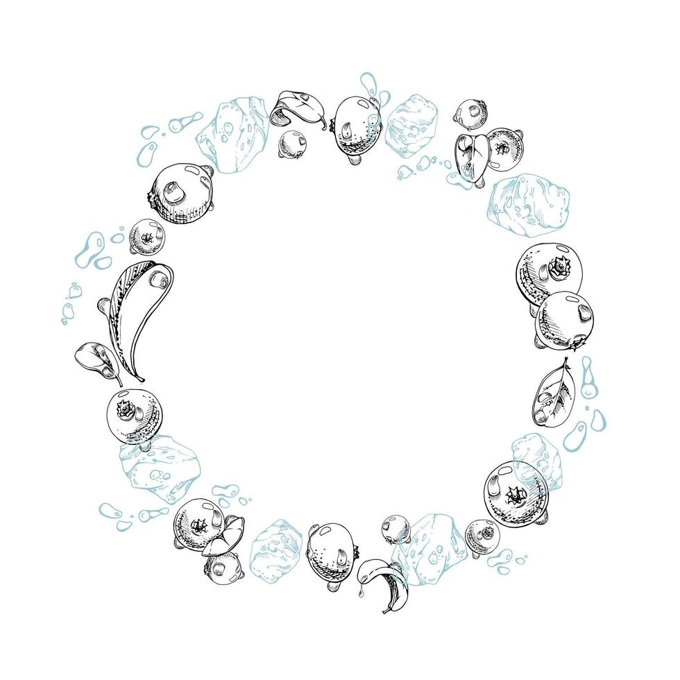 Cranberry lingonberry flying in water splash with ice cubes, drops and green leaves, hand drawn in ink, ripe forest berry. Isolated circle wreath frame for restaurant, cafe menu, farmers market vector