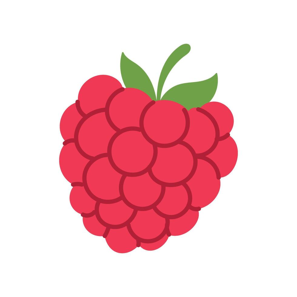 A red raspberry with a green leaf on top. The raspberry is shown in a cartoon style. The image is of a close up of a raspberry vector