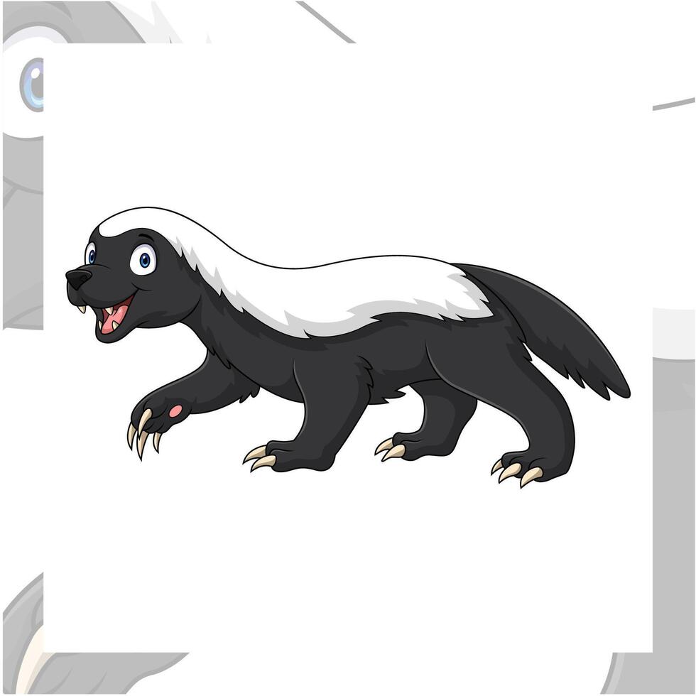 Cartoon Honey badger on white background vector