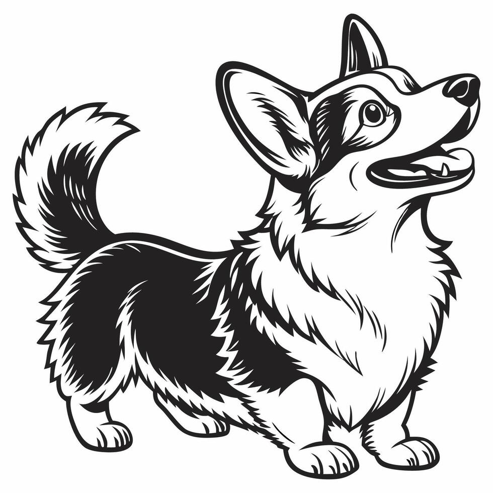 Corgi dog in black and white vector