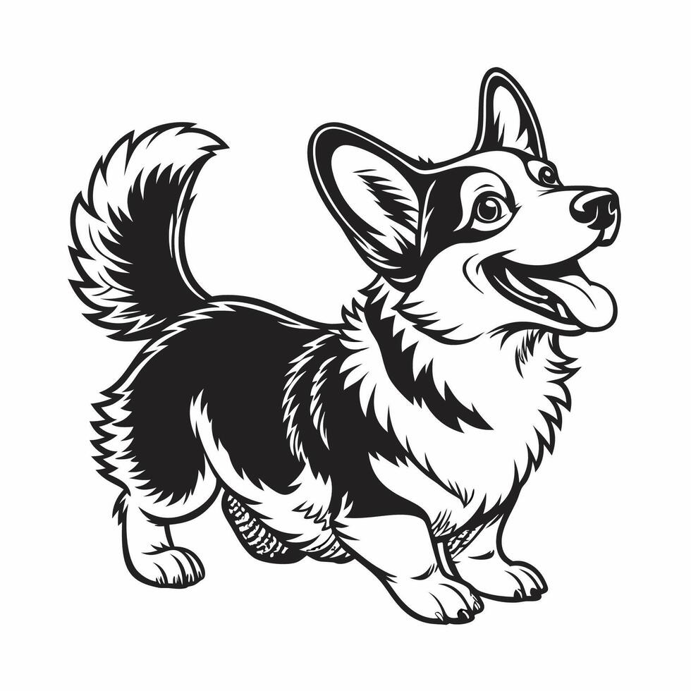 Black and White Corgi Dog vector