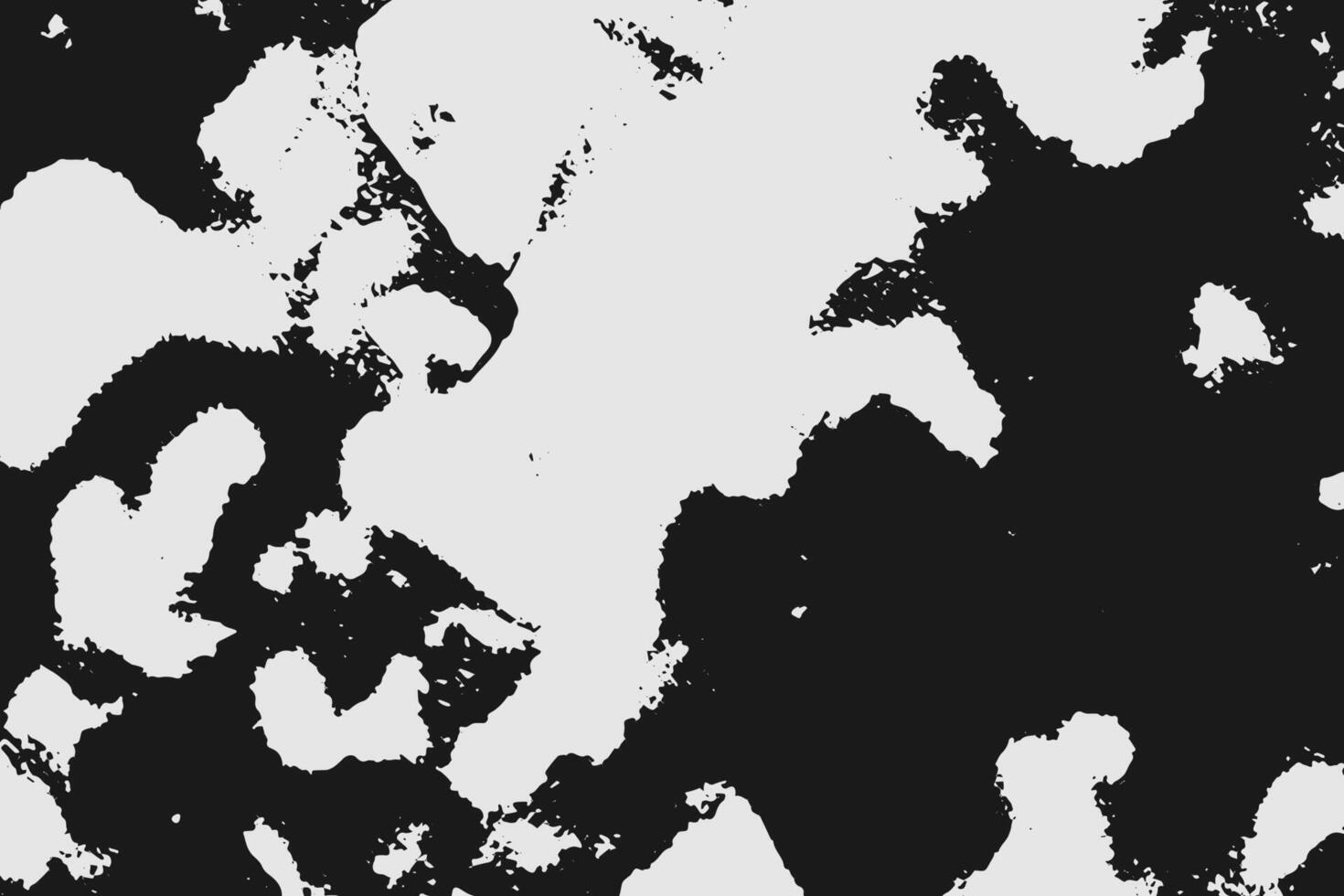 black and white. abstract grunge texture vector