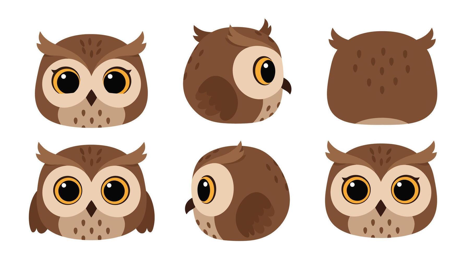 Cute owl character design in flat style showcasing multiple angles illustration vector