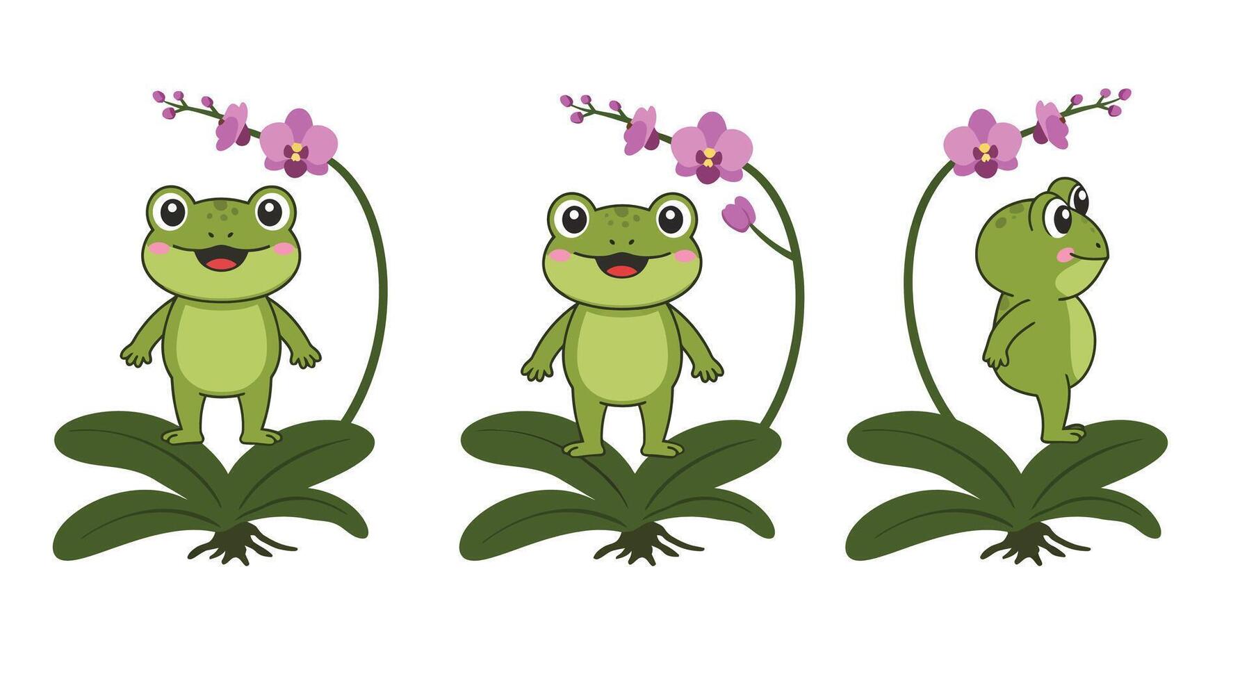 Cheerful frog character transformation in minimal art style with flowers and leaves illustration vector
