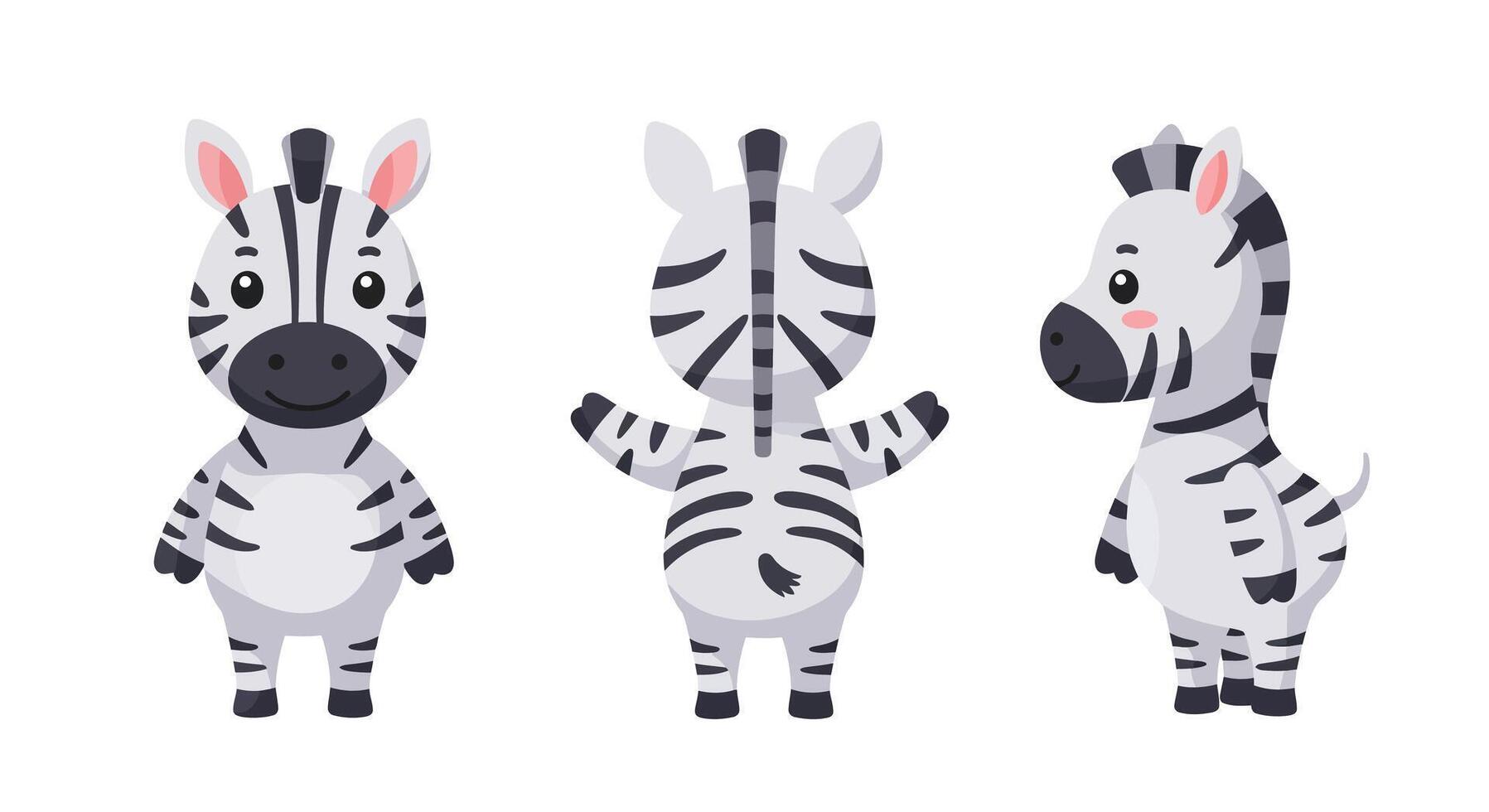 Cute zebra character design in minimal style showcasing various angles in art vector